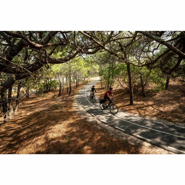 VÉLO TOUT CHEMIN ELECTRIQUE RIVERSIDE 540 E BLEU (BATTERIE NOIRE) – Image 17